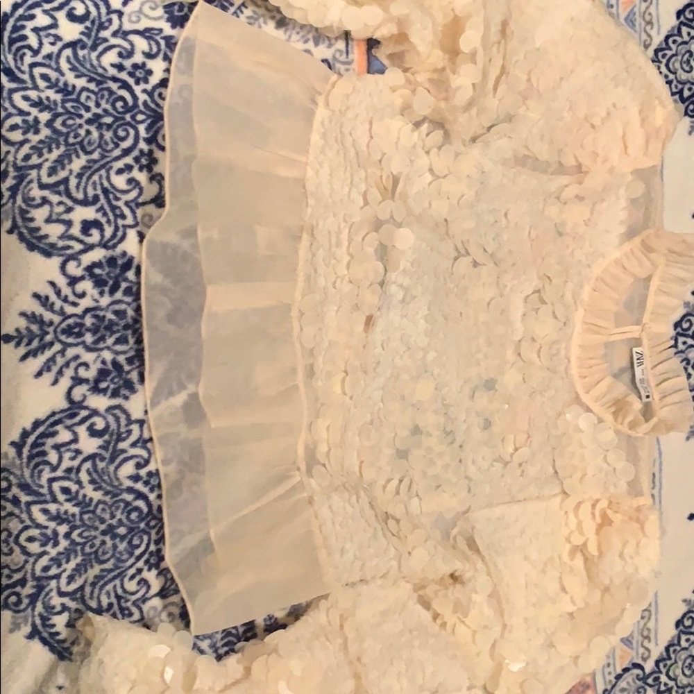 Zara crop top